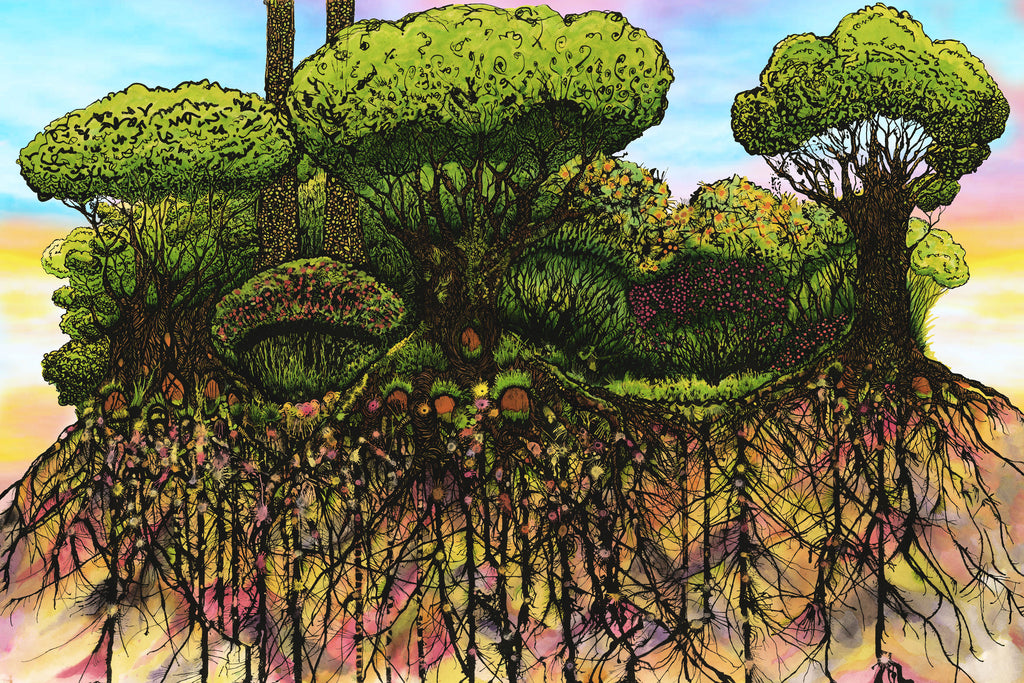 An artist impression of a woodland scene, showing the underground root and fungal network.